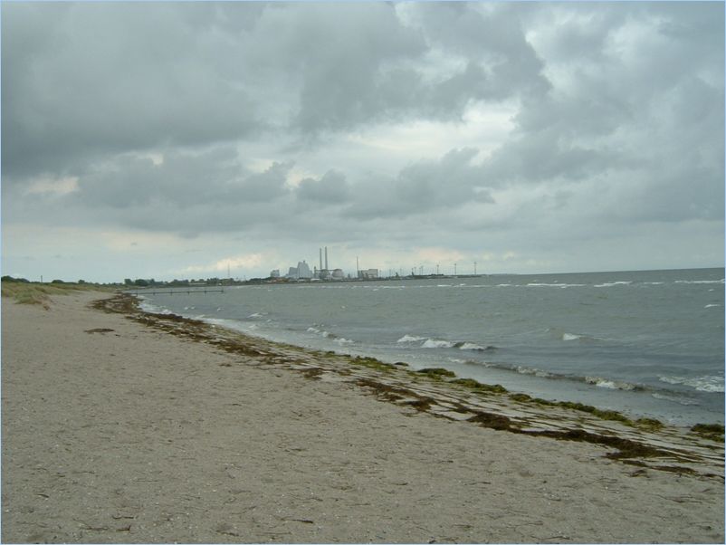 DSCF0084