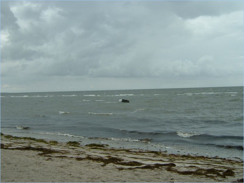 DSCF0085