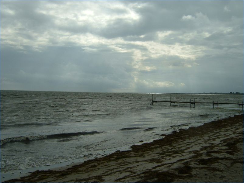 DSCF0086