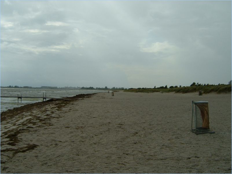 DSCF0087