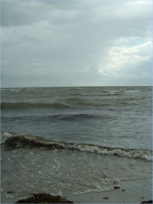 DSCF0088