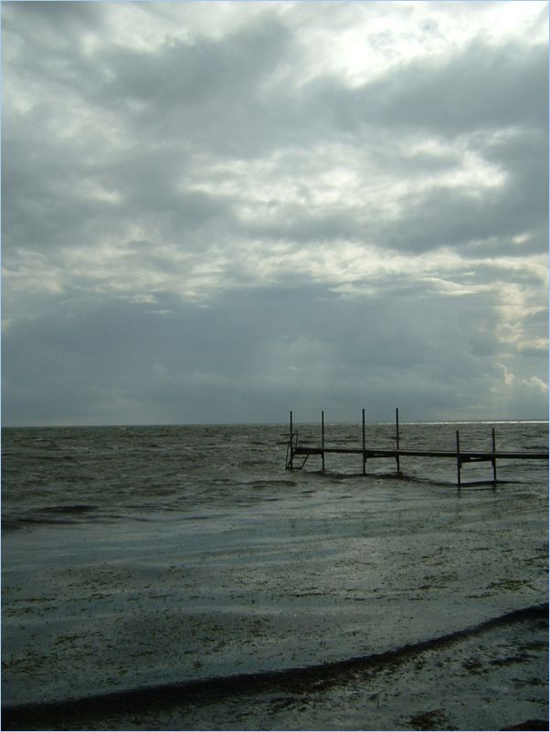 DSCF0089