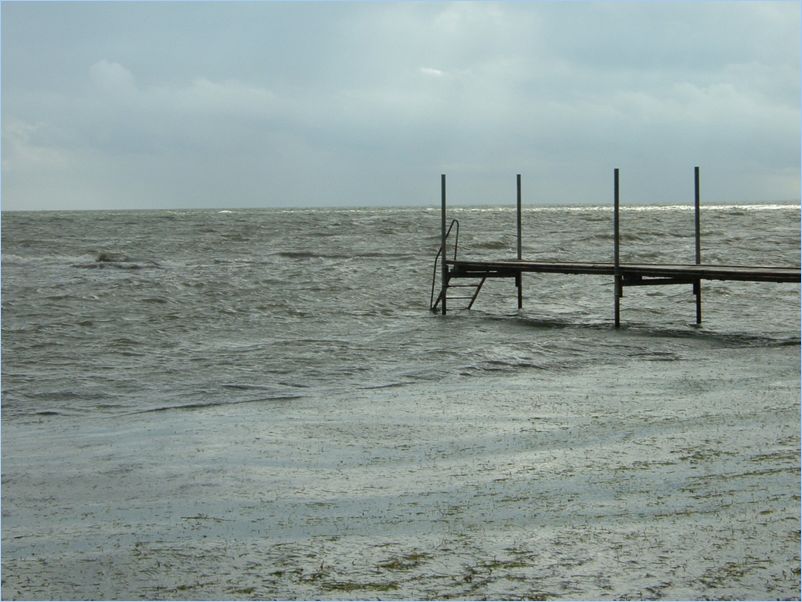 DSCF0091