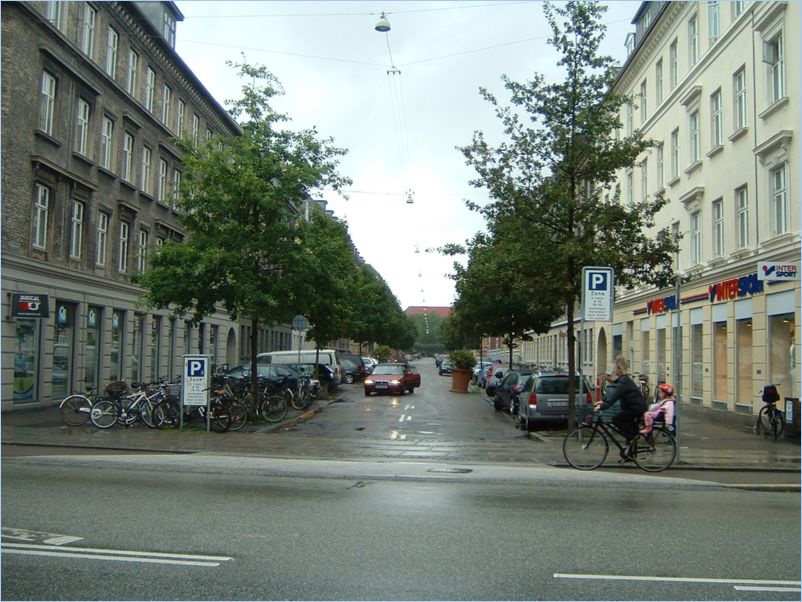 DSCF0113