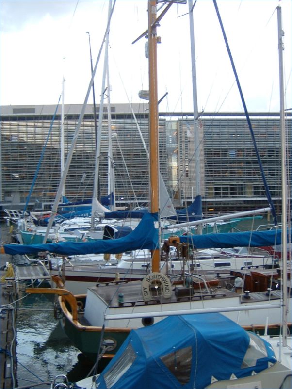 DSCF0154
