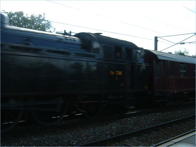 DSCF0221
