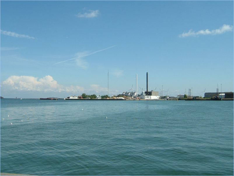 DSCF0225
