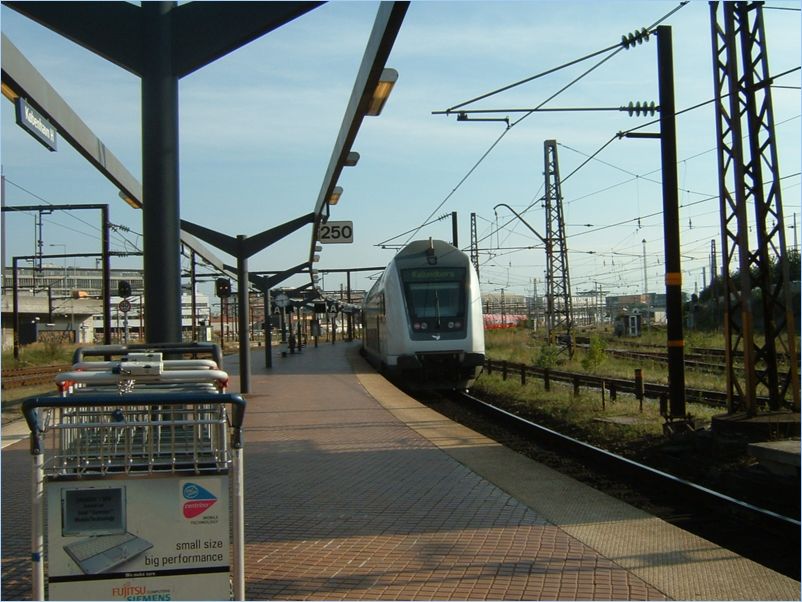DSCF0241