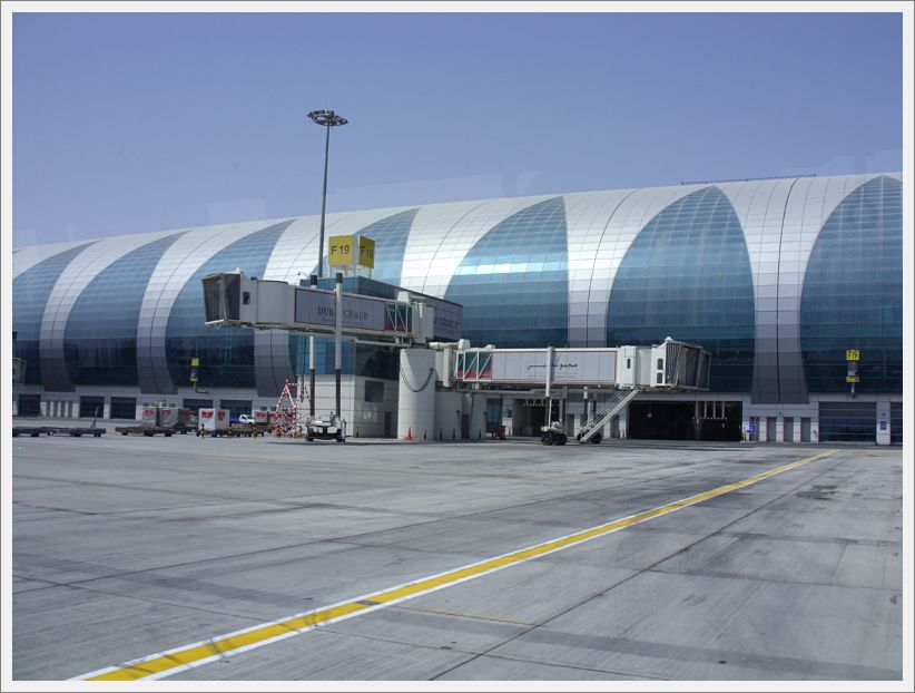SDC10031