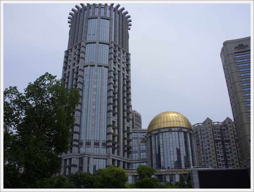 SDC10090
