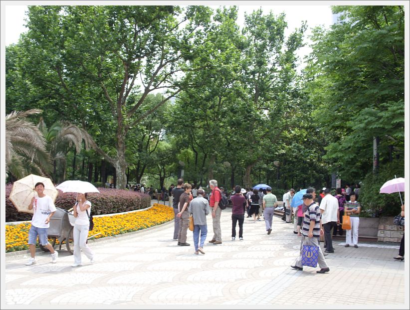 SDC10110
