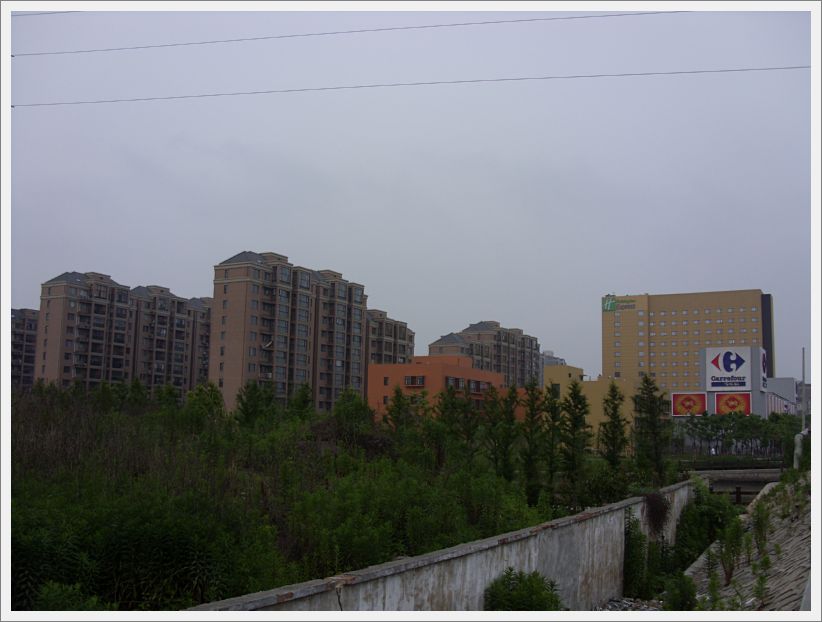 SDC10165