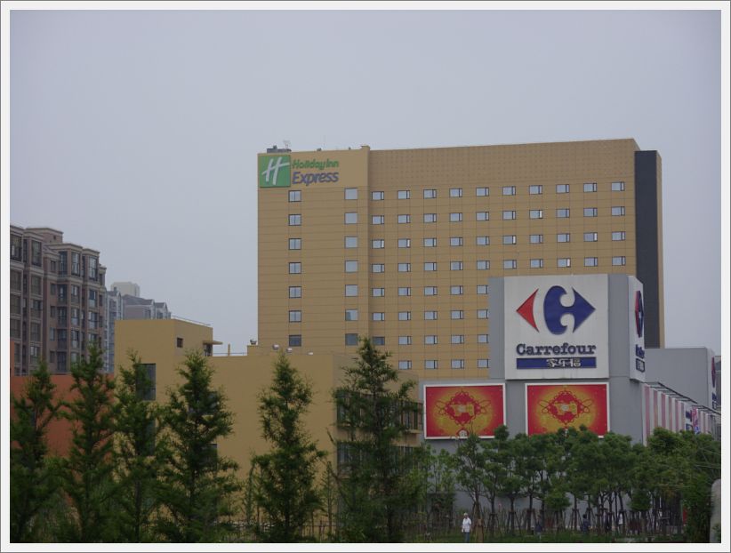 SDC10166