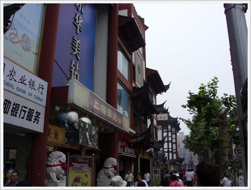 SDC10220