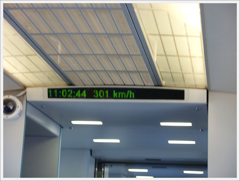 SDC10306