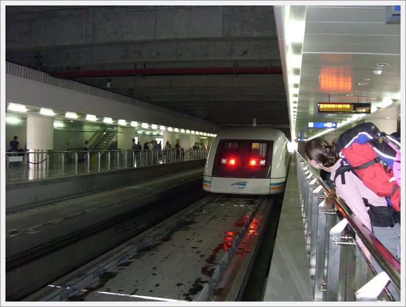 SDC10309