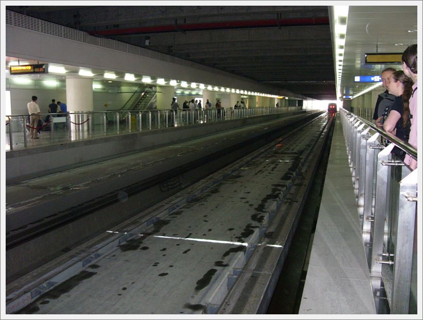 SDC10310