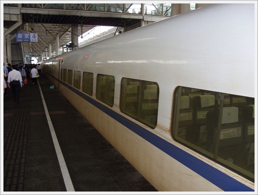 SDC10335