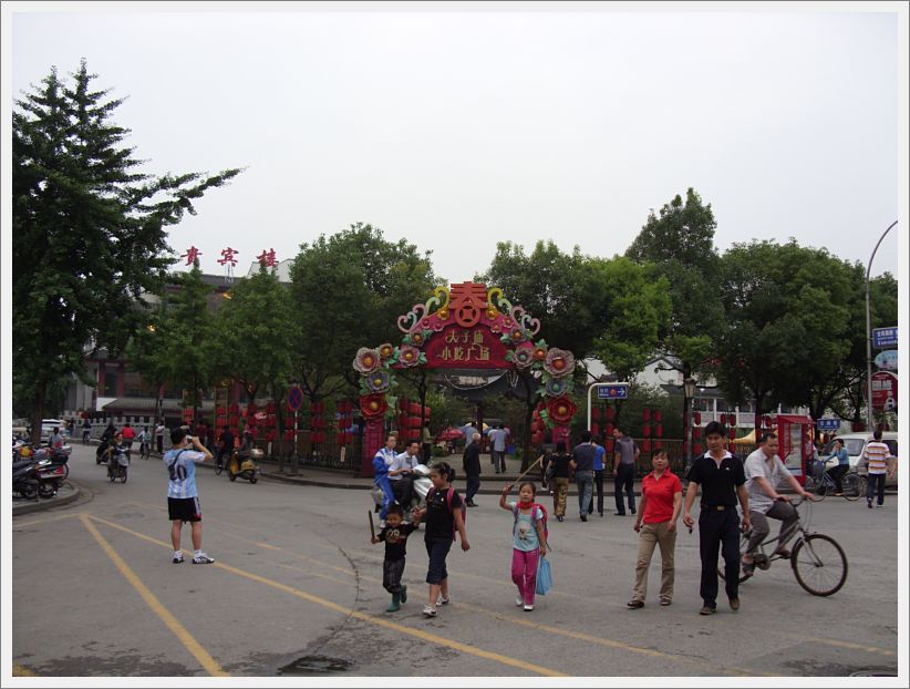 SDC10348