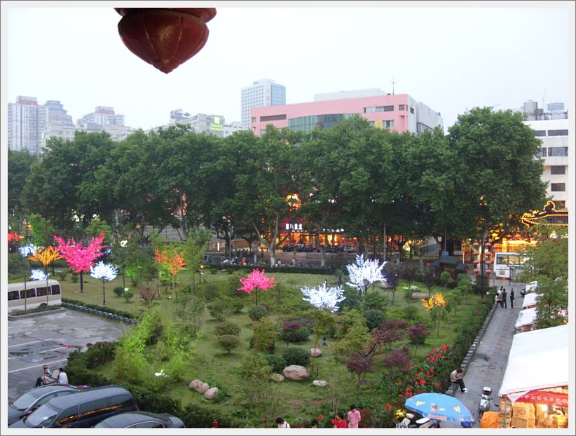 SDC10365
