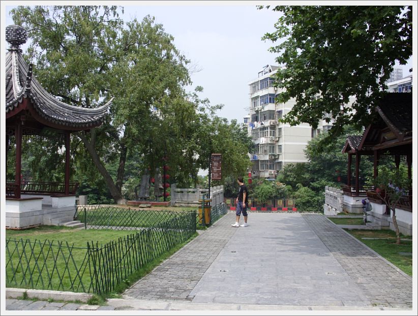 SDC10377