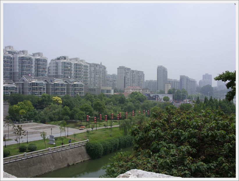 SDC10380