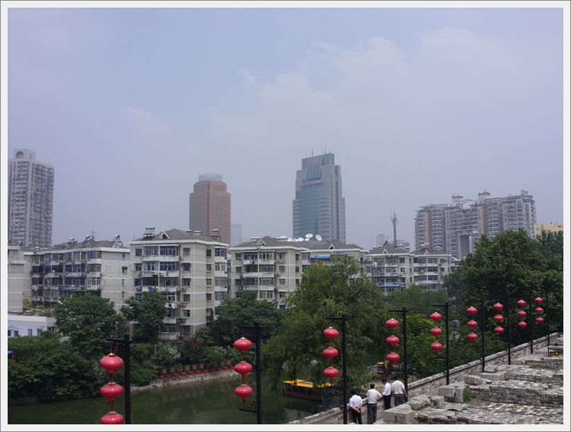 SDC10381