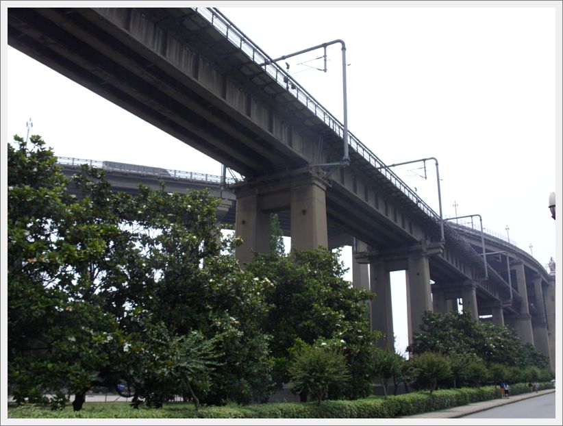 SDC10395
