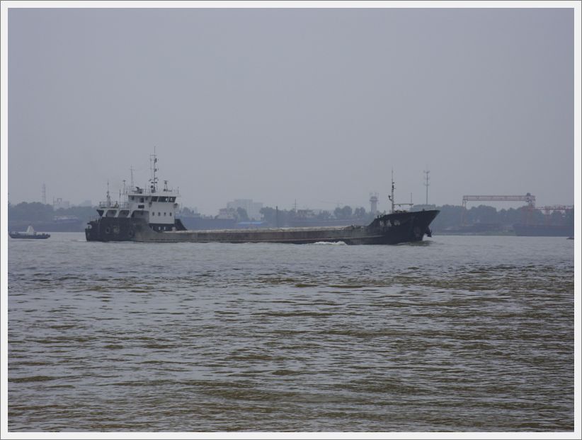 SDC10407