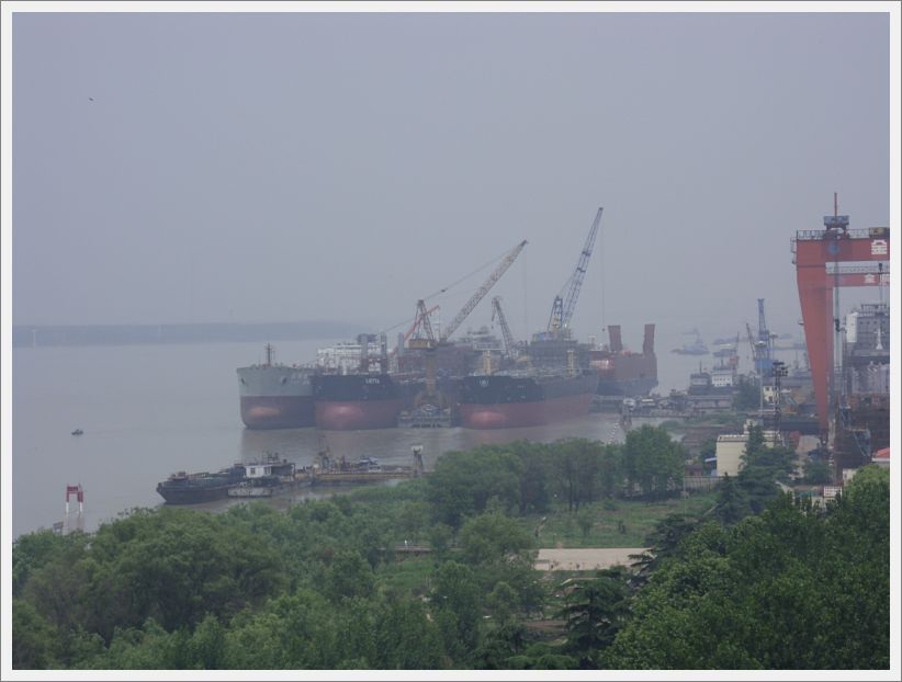 SDC10419