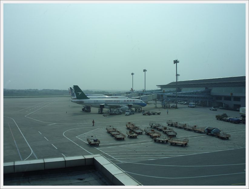 SDC10436