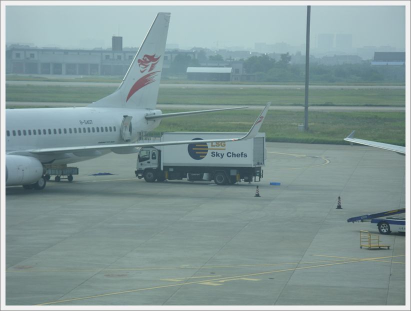 SDC10442