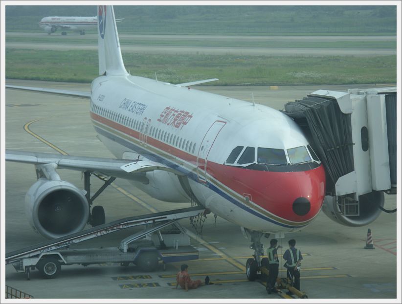 SDC10447
