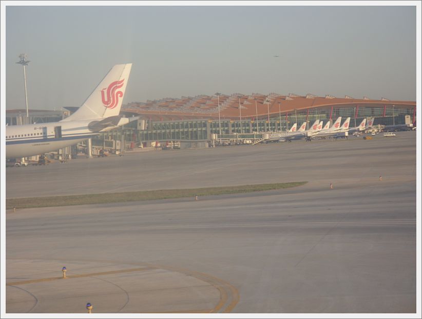 SDC10483