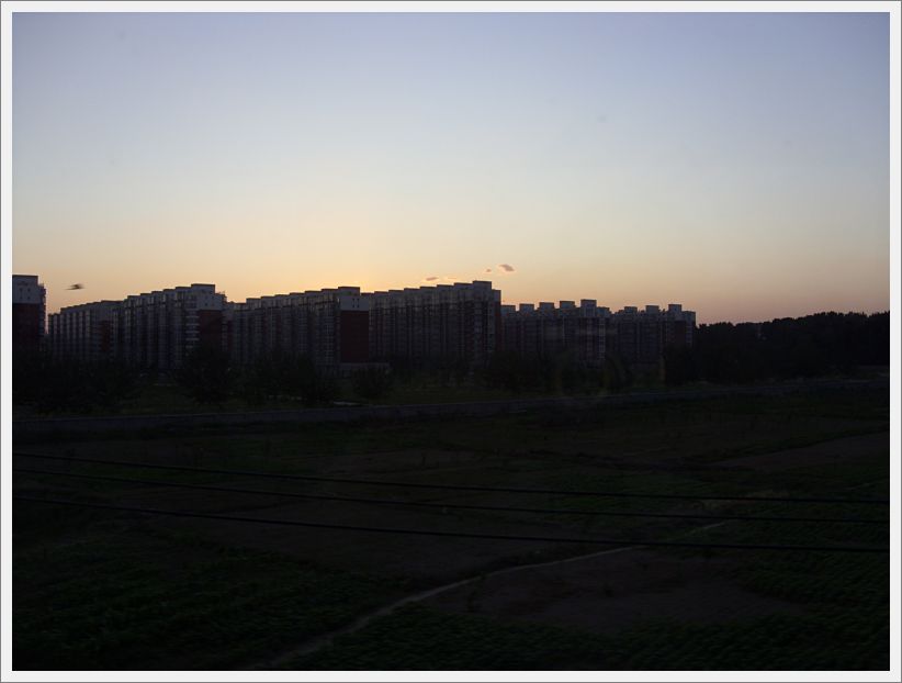 SDC10501