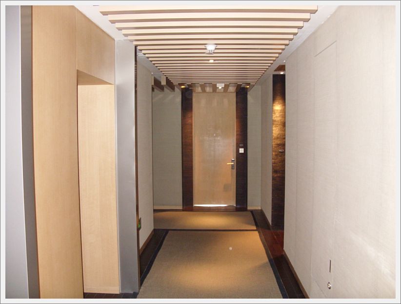 SDC10535