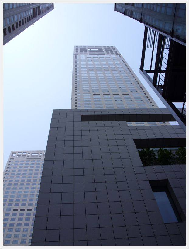 SDC10538