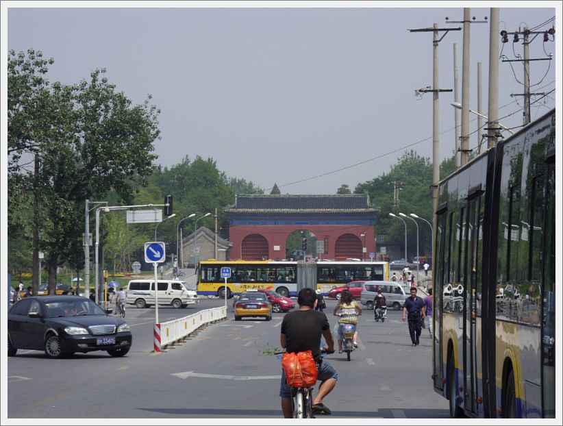 SDC10541