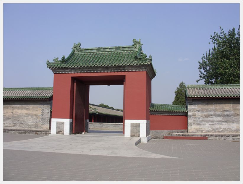 SDC10551