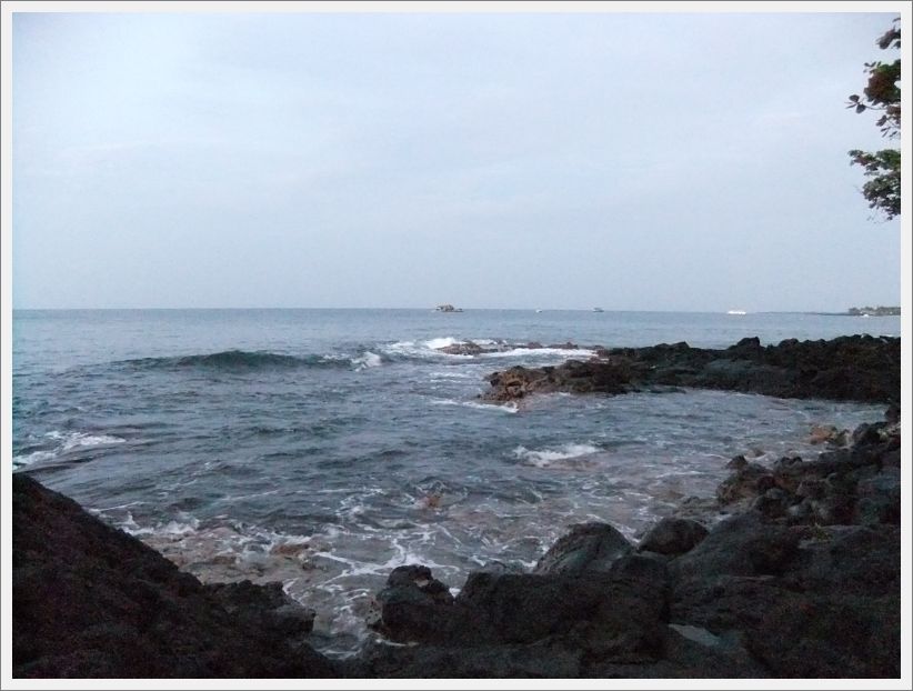 DSCF1184