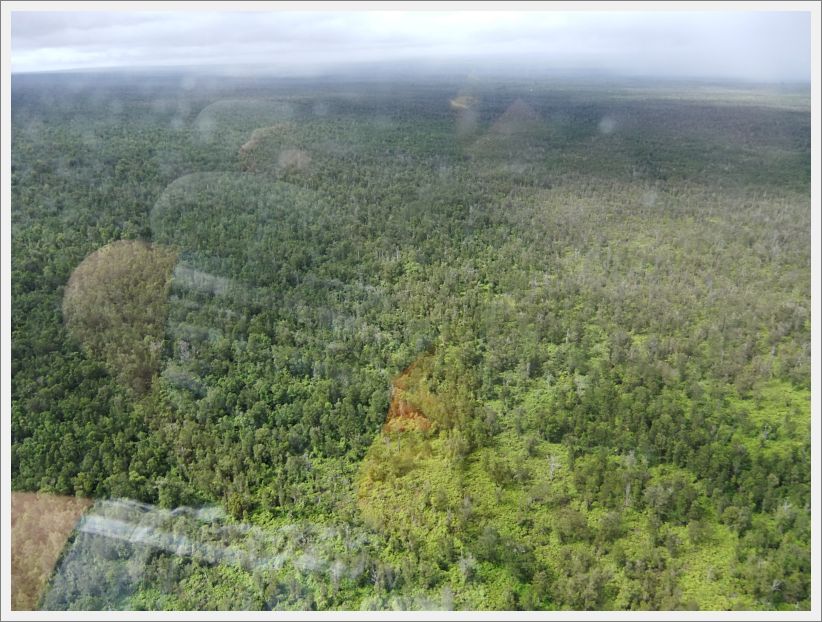 DSCF1328