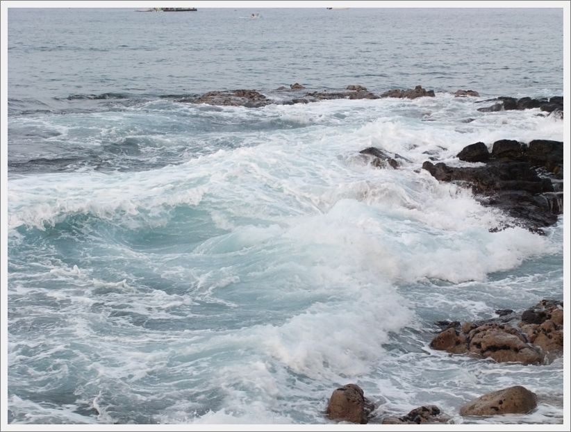 DSCF1458