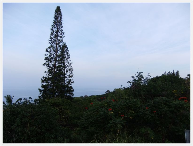 DSCF1463