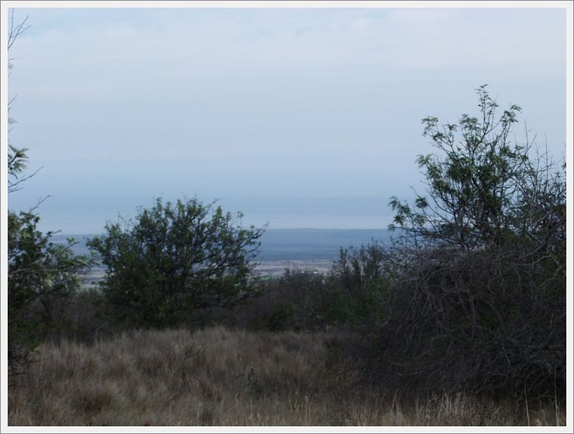 DSCF1497