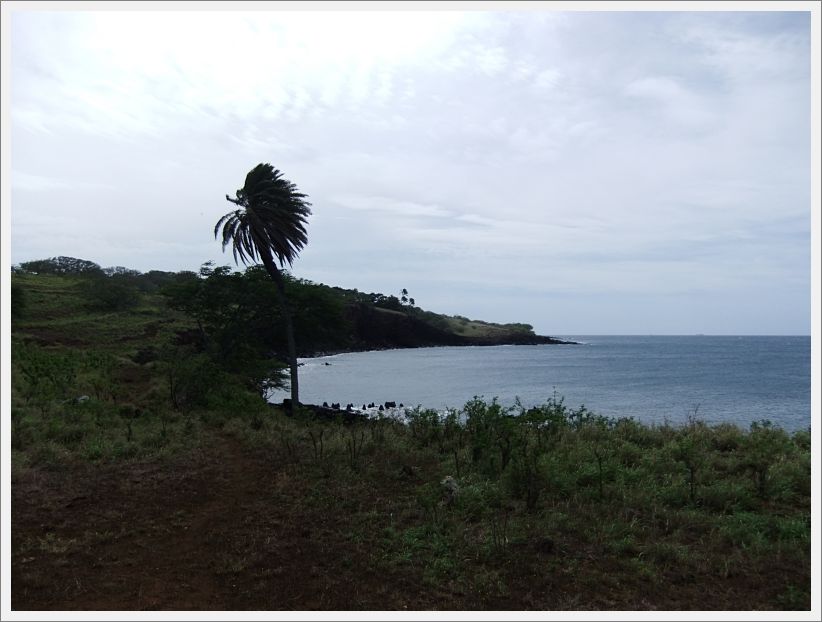 DSCF1576