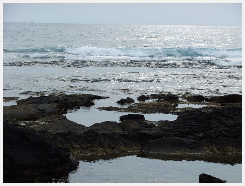 DSCF1595