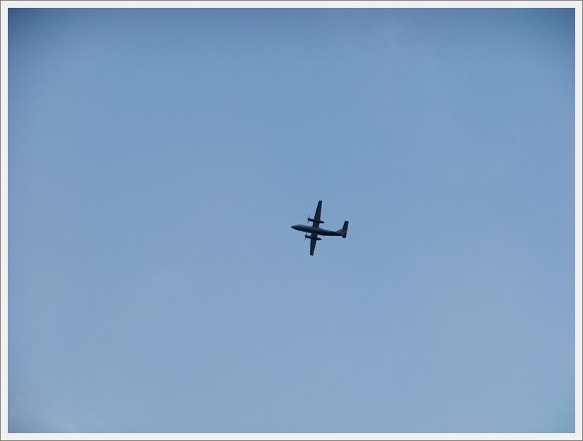 DSCF1801