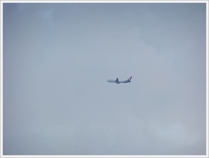 DSCF1815
