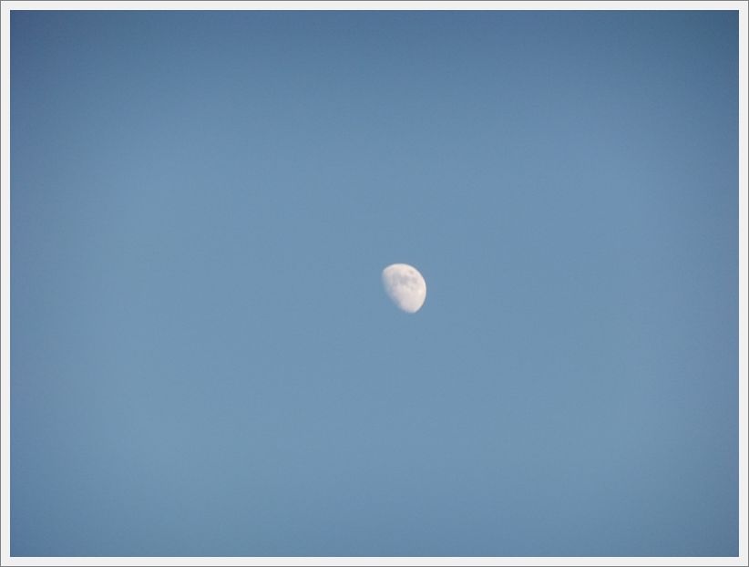 DSCF1830