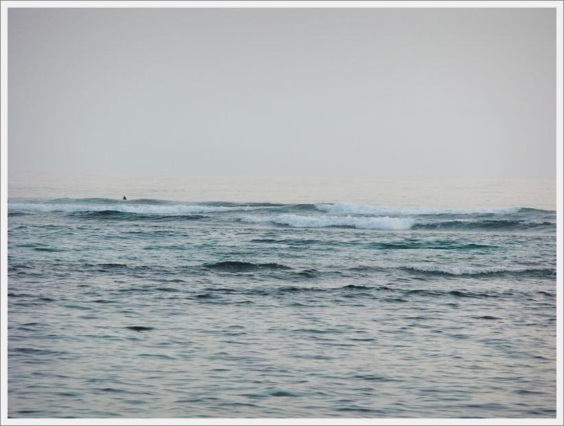 DSCF1836